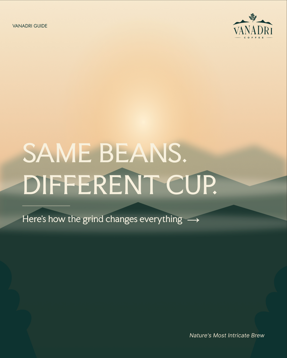 Grind Size Matters: The Science Behind a Great Cup of Coffee